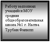 Подпись: Работу выполнил учащийся МОУ средняя общеобразовательная школа №1 г. Нытва Трубин Филипп