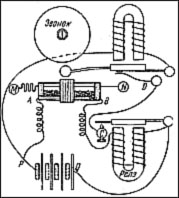 A circuitry.