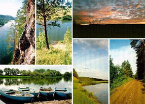 A nature of our region. Summer.